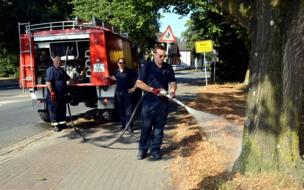 freiwillige-feuerwehr_bewaesserung_baeme_2018-07-26-WEB