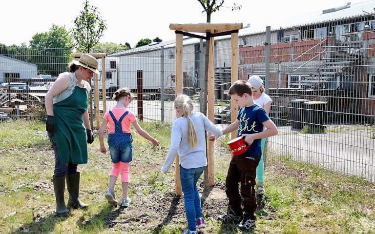 Pflanzaktion-Neubauer-Bedachungen