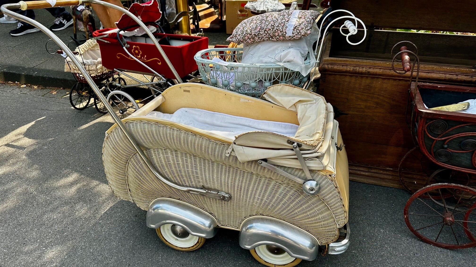 457695183_8230975963607073_6647506236952687890_n