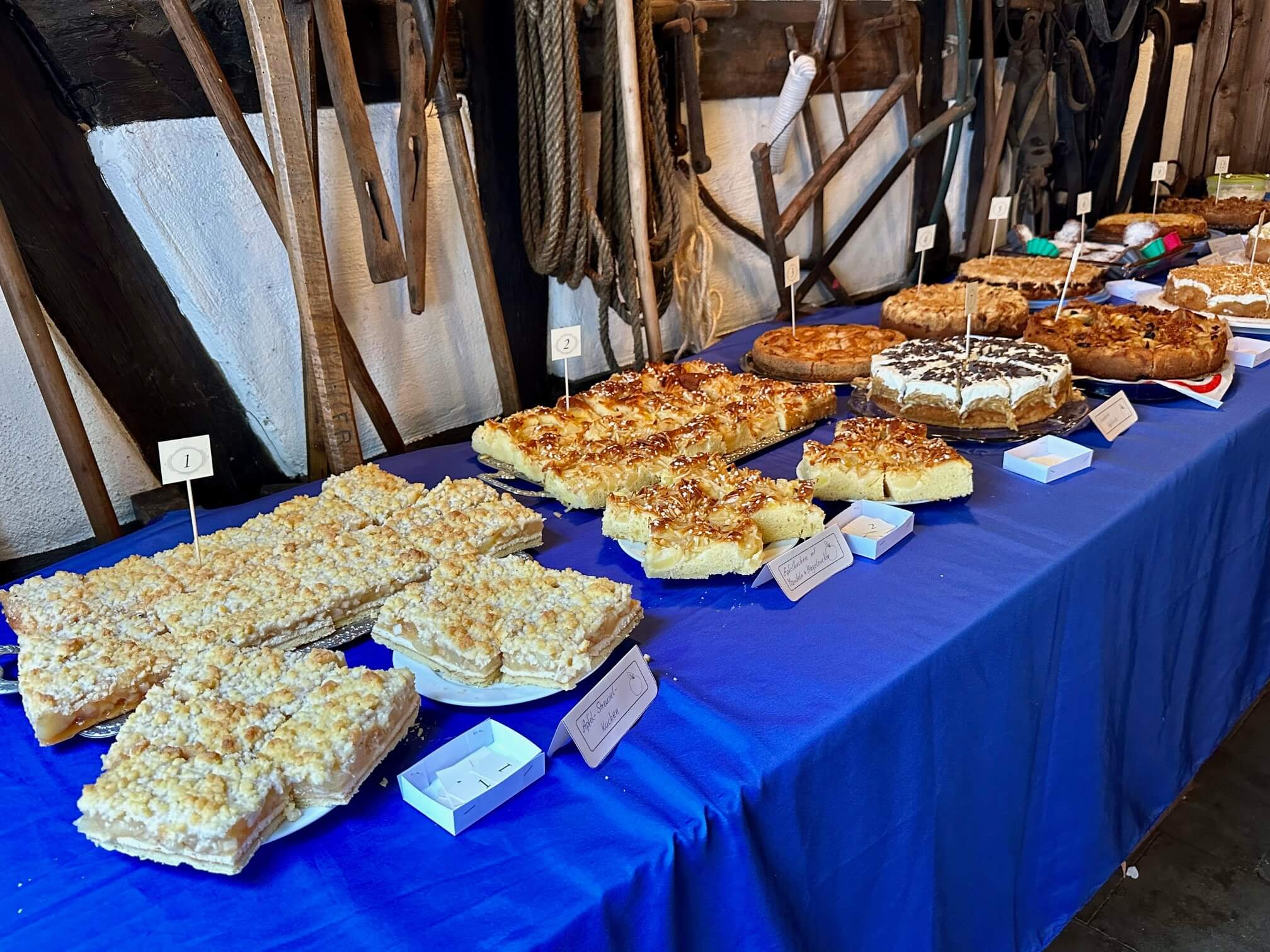 459035192_8274107722627230_3092980457380290438_n